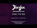 Under the Sea - The Little Mermaid (1989 film) (Samuel E. Wright) | Karaoke Version | KaraFun