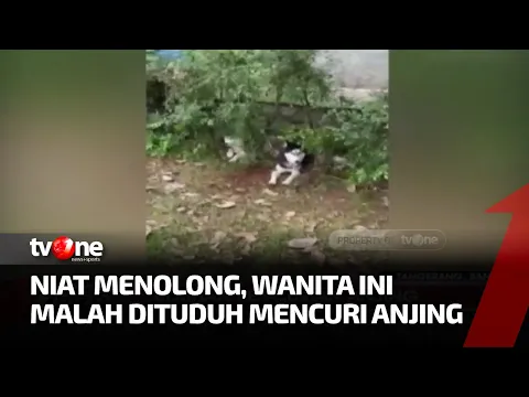 Menolong Anjing Terlantar, Wanita ini Dilaporkan Polisi