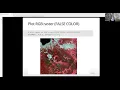 Spatial Data Analysis In R