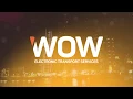 Introducing WOW Electronic Transport Services