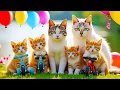 Download Lagu ANAK KUCING MEONG MEONG | Lagu Anak Anak | Lagu Anak Indonesia Populer Si Meong Kucing Lucu