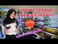 Download Lagu TERBARU!!! UPDATE KOLEKSI IKAN CHANNA DI MARKAS KU//Yunika Ajeng