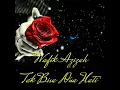 Download Lagu Wafik Azizah ~ Tak Bisa Dua Hati