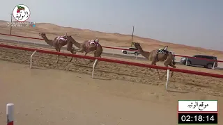 الشوط 14 شاهين مكتوم عبيد سلوم الراشدي 6 33 شارة صندوق الحلفه 2021 8 20 الساد 