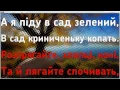 Розпрягайте, хлопцi, коней караоке с аккордами