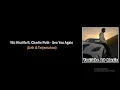 Download Lagu Wiz Khalifa ft. Charlie Puth - See You Again (Lirik \u0026 Terjemahan)