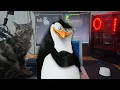 an actually productive Linux setup that pays my bills