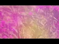 Chad Lawson - the color of the sky (orchestral)
