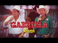 Download Lagu Os Gargantas de Ouro || GABRIELA || Vídeo Oficial
