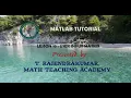 MatLab Lesson 16 user input matrix