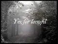 Joshua Radin - What If You (Lyrics)