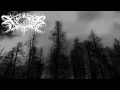 Xasthur - Screaming at Forgotten Fears