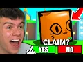 How To Get The HUGE ORANGE BALLOON CAT In Roblox PET SIMULATOR X