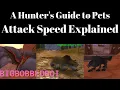 A Hunter s Guide to Pets Attack Speed PvE PvP Misconceptions Classic WoW Tutorial