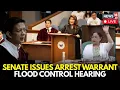 Download Lagu Philippines Senate LIVE:Blue Ribbon Committee |Arrest Of No-Show Contractors In Flood Control Probe
