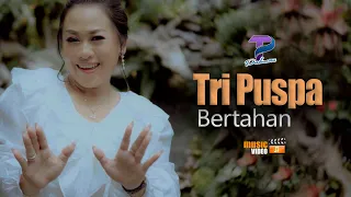 Download Tri Puspa - Bertahan (Official Music Video) MP3