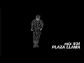 Download Lagu PLAZA LLAMA DEEP HOUSE + FOOTWORK + FRENCH DISCO + TECHNO MUSIC + PEAK BANGERS + BOILER ROOM MIX