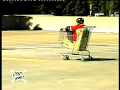 Crazy Monkey - Trolly Rally