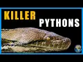 Pythons that Eat People