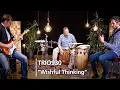 Download Lagu MEINL Percussion Studio Session - Trio930 - Wishful Thinking