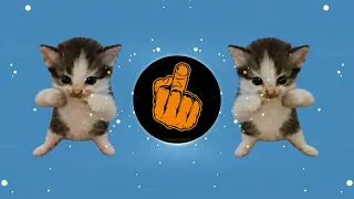 dj kicau kicau kicau mania slow viral tiktok full song 2026 yang di cari cari 
