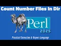 How to Count Folders in a Directory with Perl Simple Script Tutorial 2025