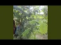 Download Lagu Tinggalkan Aku Dengan Diam