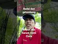 Download Lagu lagu Rhoma Irama Bahtera Cinta #music #dangdut #live