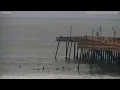 Pismo Beach Dog Surfing - 10am to 12pm