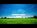 Quincas Moreira / Rainbow Forest　1hour