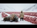 Hunting a 5-Ton Beast at −71°C | Survival at the Edge of the Frozen World