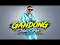 Toton Caribo - GANDONG - Cover Playmusic Official 