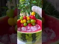 Download Lagu Meow~Super Huge Watermelon Sago Dessert!🍉🍡|ASMR Summer Drinks | Cat Cooking-TikTok #Shorts