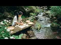 Download Lagu Built a House by Hand in the Wild Mountains – The Ending Surprised Everyone!