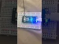 Morse Code with Particle Argon