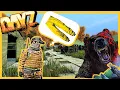 DayZ - The Most INSANE Search for NBC Gear In VANILLA Chernarus