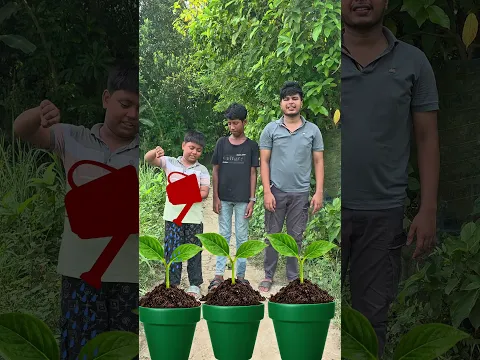 What Grew on Our Tree? 🍿🌳