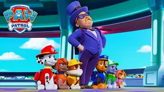 Ladrões de Prémios 😱! As Gaivotas Causam o Caos | Patrulha Pata | PAW Patrol | Compilação