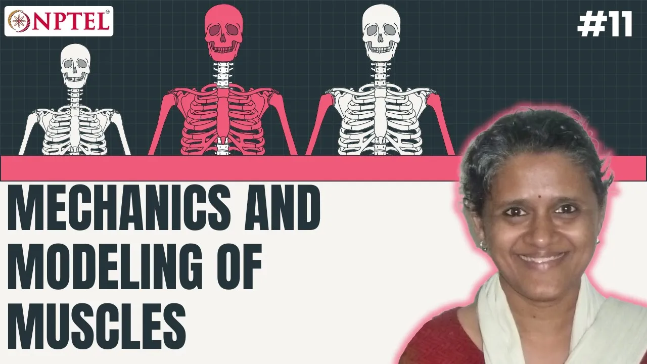 #11 Mechanics & Modeling of Muscles | Mechanics of Human Movement