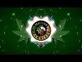 World on Fire with - Slightly Stoopid