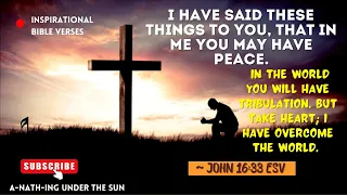 JOHN 16 33 ESV YOU LL HAVE TROUBLE BUT JESUS HAS WON THE FIGHT