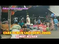 Download Lagu CABE TURUN LAGI SAYURAN OK DI PASAR INDUK PARE KEDIRI 