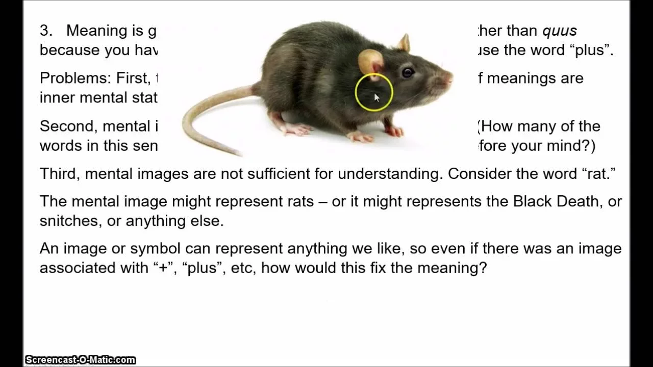 Kripke's Meaning Skepticism 1