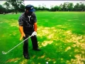 Lee Trevino - The Bump and Run Shot