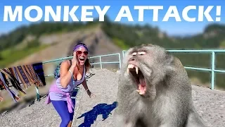 We Get Attacked By Monkeys! – Mount Kelimutu – S2:E86