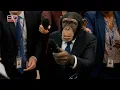 60 SECONDS - Trump on Korea SATIRE
