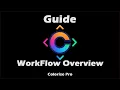 Colorize Pro WorkFlow Overview