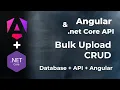 Bulk Upload Data in Angular Angular Buk Crud with Net Core API Angular Tutorial