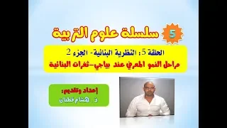 الحلقة 5 النظرية البنائية الجزء2 مراحل النمو المعرفي ثغرات البنائية 