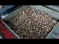 Coffee Explained By Master Roaster